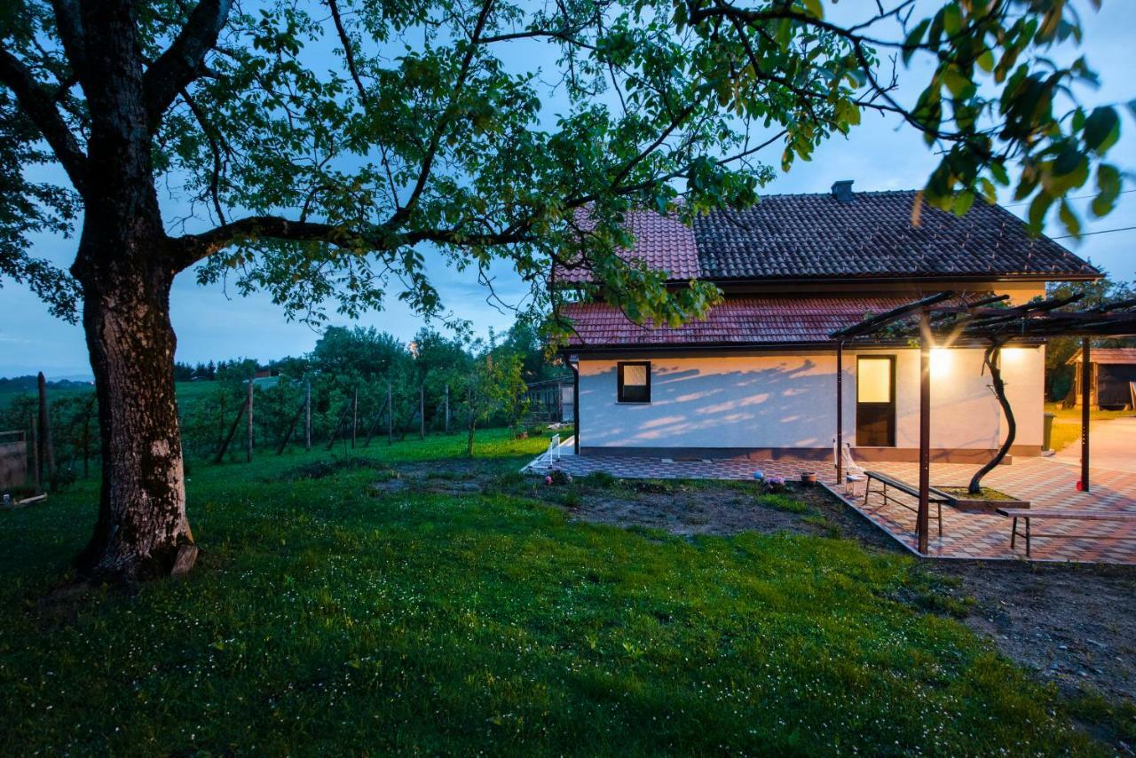 Holiday Home Dandelion With Hot Tub & Sauna Cetingrad Buitenkant foto